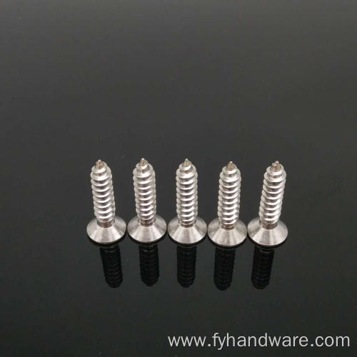 Stainless steel wooden screw torx tapping screw